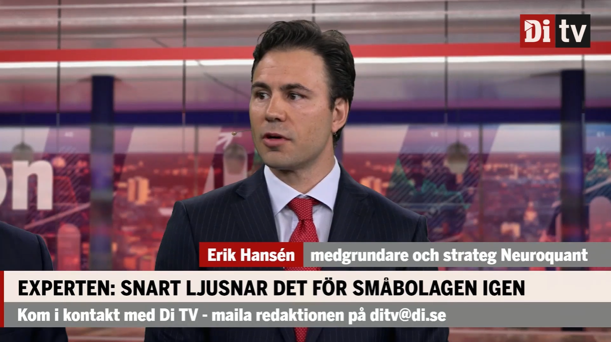 Småbolag, hotellbolag, försvarsbolag i Di Börsmorgon